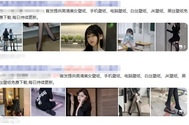 老司机壁纸源码 2.0 修复版 布局优化 + BUG 修复 可直接搭建运营-回忆博客